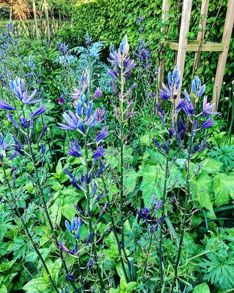 This image has an empty alt attribute; its file name is 347549969_196431133271940_6902460726691391279_n.jpeg